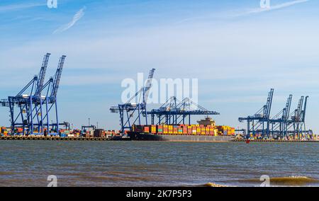 Feliistowe Suffolk UK Februar 1. 2022 Containerhafen von Opposite Inlet zeigt Container Ships und Container Handling Portalkrane Stockfoto