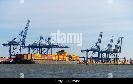 Feliistowe Suffolk UK Februar 1. 2022 Containerhafen von Opposite Inlet zeigt Container Ships und Container Handling Portalkrane Stockfoto