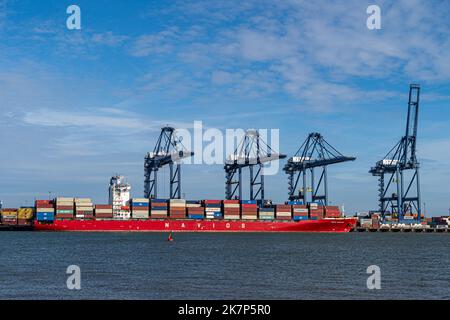 Feliistowe Suffolk UK Februar 1. 2022 Containerhafen von Opposite Inlet zeigt Container Ships und Container Handling Portalkrane Stockfoto