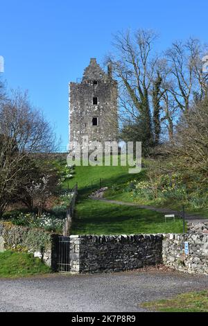 Cardoness Castle wurde im späteren 15.. Jahrhundert als befestigte Residenz der McCullochs in Dumfriesshire, Schottland, erbaut Stockfoto