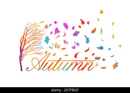 Herbst bunt . Blätter fallen vom Baum. Verkauf Hintergrund mit Blättern zum Verkauf Banner dekoriert. Vektorgrafik Stock Vektor