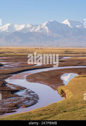 Landschaftlich reizvolle Aussicht am frühen Morgen auf die schneebedeckte Trans Alay-Bergkette mit Reflexion im Kyzylsu-Fluss und einsamem braunen Pferd im Süden Kirgisistans Stockfoto