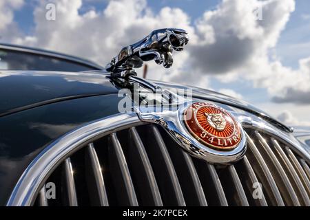 Springende Jaguar Maskottchen auf einem Jaguar Mk1 aus dem Jahr 1959 Stockfoto