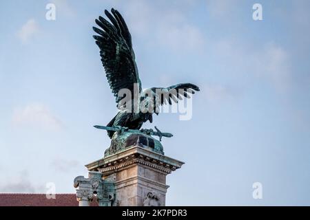 Turul Vogelskulptur auf der Budaer Burg - Budapest, Ungarn Stockfoto