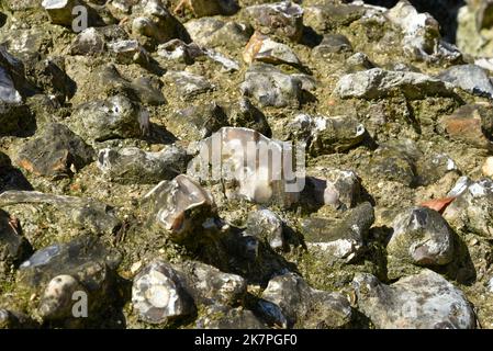 Nahaufnahme einer Mauer, die aus Feuerstein in einem alten englischen Schloss errichtet wurde. Stockfoto