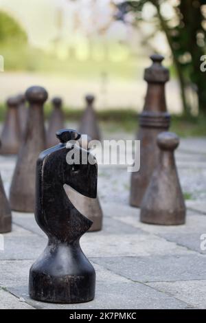 Schachfiguren in einem öffentlichen Garten Stockfoto