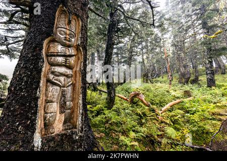 Traditionelle lebende Baumtotem-Schnitzereien auf dem Mount Roberts Trail - Juneau, Alaska, USA Stockfoto