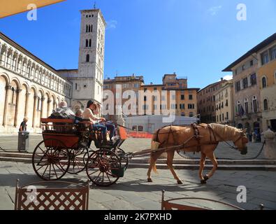 Pferdekutsche, Chiesa di San Michele in Foro, Lucca, Italien. Piazza San Michele Stockfoto