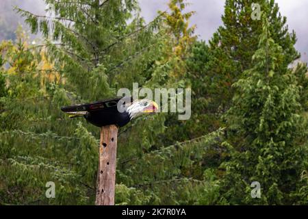 Weißkopfseeadler Totem Pole im Saxman Totem Park - in der Nähe von Ketchikan, Alaska, USA Stockfoto