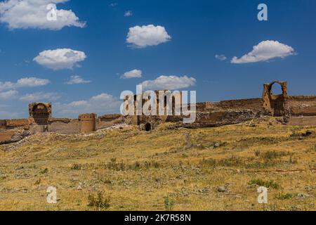 Befestigungsmauern der antiken Stadt Ani, Türkei Stockfoto