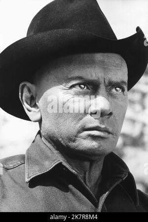 Yul Brynner Film: Westworld (USA 1973) Charaktere: Gunslinger Regie: Michael Crichton 21 November 1973 **WARNUNG** Dieses Foto ist nur für redaktionelle Zwecke bestimmt und unterliegt dem Copyright von MGM und/oder dem von der Film- oder Produktionsfirma beauftragten Fotografen und kann nur von Publikationen im Zusammenhang mit der Bewerbung des oben genannten Films reproduziert werden. Eine obligatorische Gutschrift an MGM ist erforderlich. Der Fotograf sollte auch bei Bekanntwerden des Fotos gutgeschrieben werden. Ohne schriftliche Genehmigung der Film Company kann keine kommerzielle Nutzung gewährt werden. Stockfoto