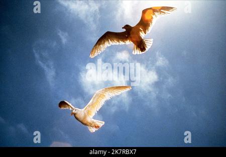 Seagulls Film: Jonathan Livingston Seagull (1975) Regie: Hall Bartlett 23 October 1973 **WARNUNG** Dieses Foto ist nur für redaktionelle Zwecke bestimmt und unterliegt dem Copyright von PARAMOUNT PICTURES und/oder des Fotografen, der von der Film- oder Produktionsgesellschaft beauftragt wurde und darf nur von Publikationen im Zusammenhang mit der Bewerbung des oben genannten Films reproduziert werden. Eine obligatorische Gutschrift für PARAMOUNT-BILDER ist erforderlich. Der Fotograf sollte auch bei Bekanntwerden des Fotos gutgeschrieben werden. Ohne schriftliche Genehmigung der Film Company kann keine kommerzielle Nutzung gewährt werden. Stockfoto