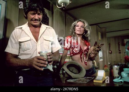 Charles Bronson & Sheree North Film: Breakout (1975) Charaktere: Nick Colton, Myrna Regie: Tom Gries 07 March 1975 **WARNUNG** Dieses Foto ist nur für redaktionelle Zwecke bestimmt und unterliegt dem Copyright von COLUMBIA und/oder des Fotografen, der von der Film- oder Produktionsfirma beauftragt wurde, und kann nur von Publikationen im Zusammenhang mit der Bewerbung des oben genannten Films reproduziert werden. Eine obligatorische Gutschrift an COLUMBIA ist erforderlich. Der Fotograf sollte auch bei Bekanntwerden des Fotos gutgeschrieben werden. Ohne schriftliche Genehmigung der Film Company kann keine kommerzielle Nutzung gewährt werden. Stockfoto