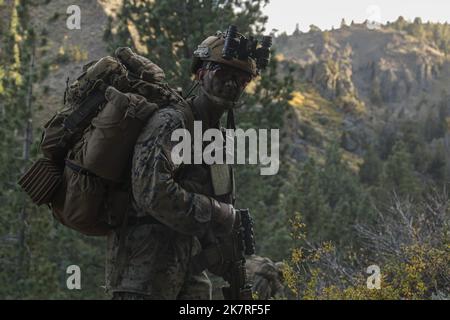 USA Marine Sgt. Joshua Rivera, ein Zuggeant bei Echo Company, 2. Bataillon, 1. Marine Regiment, 1. Marine Division, patrouilliert während der Bergtrainingsübung 1-23 im Marine Corps Mountain Warfare Training Center Bridgeport, Kalifornien, 6. Oktober 2022. Während der MTX lernten die Marines verschiedene Fähigkeiten, um in einer strengen Bergumgebung besser im Kampf und Überleben zu sein. Rivera stammt aus Middletown, New York. (USA Marine Corps Foto von CPL. Skyler M. Harris) Stockfoto