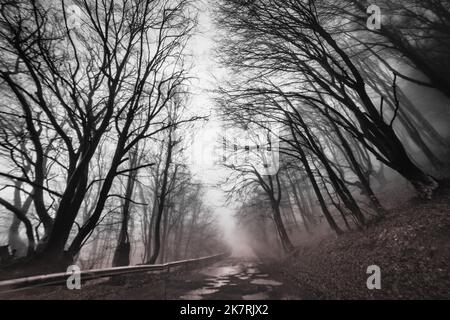 Weg in den nebligen gespenstischen Wald im Herbst in den Balkanbergen, Bulgarien Stockfoto