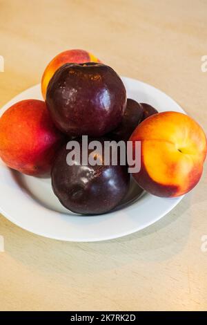 Ein weißes Gericht voller frischer ganzer Nektarinen und Pflaumen. USA. Stockfoto