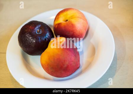 Eine ganze Pflaume und zwei ganze Nektarinen auf einem weißen Teller. USA. Stockfoto