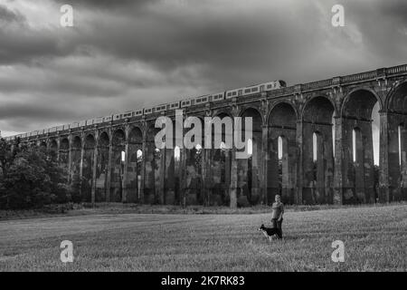 Das Ouse Valley Railway Viaduct (Nr Balcombe) führt die London-Brighton Railway Line über den Fluss Ouse in Sussex. 11 Millionen Steine aus den Niederlanden - OL15169856 Alle 1 | nicht Stockfoto