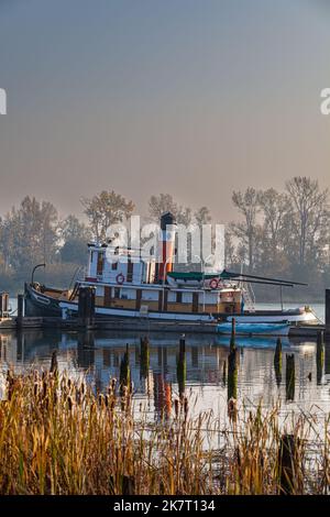 SS Master dockte im historischen Britannia Ship Yard in dichtem Waldbrandrauch bei Steveston British Columbia Kanada an Stockfoto