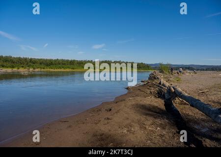 Das Sandy River Delta im Sandy River Delta Park, der sich entlang des Columbia River und des Lewis & Clark National Historic Trail befindet, in der Nähe von Portland, Oregon Stockfoto