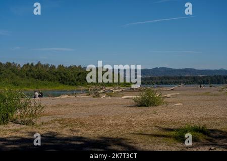 Das Sandy River Delta im Sandy River Delta Park, der sich entlang des Columbia River und des Lewis & Clark National Historic Trail befindet, in der Nähe von Portland, Oregon Stockfoto