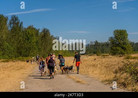 Menschen, die mit ihren Hunden auf einem Off-Leine-Trail im Sandy River Delta Park, entlang des Lewis & Clark National Historic Trail, in der Nähe von Portland, OR, wandern Stockfoto