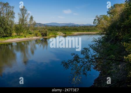 Blick auf den Sandy River (Sandy River Delta Park), der entlang des Columbia River liegt, und den Lewis & Clark National Historic Trail, in der Nähe von Portland, Oregon, Stockfoto