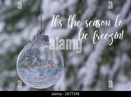 Es ist die Jahreszeit freezin Inspiration Witz Zitat Phrase Transparent trendy Glas Weihnachtskugel auf verschneiten Ast Tannen im Winterwald. Winter Urlaub Hintergrund. Frohes neues Jahr Frohe Weihnachten Grußkarte. Schnee fällt im Hintergrund Stockfoto