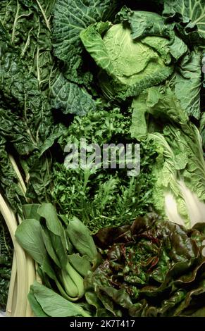 VERSCHIEDENE GRÜNE GEMÜSESORTEN, SILVERBEET, BOK CHOY, SALAT, ENDIVE, CHINAKOHL UND KOHL. Stockfoto