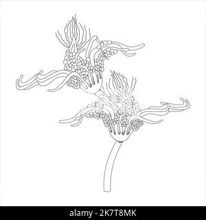 Ein Vertreter der Unterwasserwelt Polyp Stock Vektor