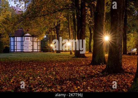 19. Oktober 2022, Sachsen-Anhalt, Bad Lauchstädt: Herbstblätter liegen auf einer Wiese im Kurpark von Bad Lauchstädt. Foto: Hendrik Schmidt/dpa Stockfoto