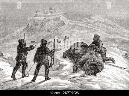 Die Jagd nach dem Moschus. Zweite deutsche Expedition zum Nordpol mit den Schiffen Germania und Hansa, 1869 Stockfoto
