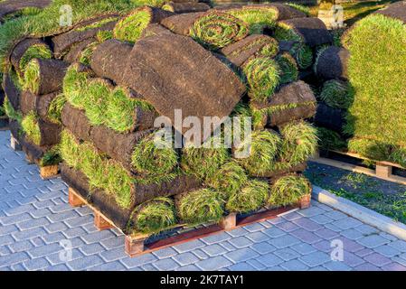 Stapel von Spatenrollen für die Landschaftsgestaltung. Rasengras in Rollen auf Paletten auf der Straße. Stockfoto