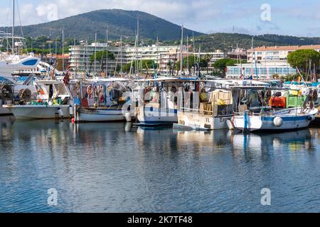 Fischerboote im Hafen von Sainte Maxime, im Departement Var der Region Provence-Alpes-Côte d'Azur im Südosten Frankreichs. Stockfoto