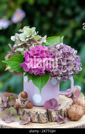 Herbstarrangement mit Bouquet von rosa und lila Hortensien Blumen in Emaille-Tasse Stockfoto