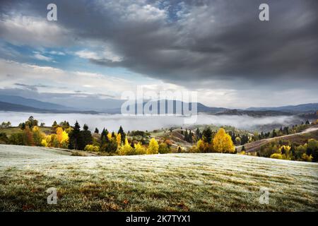 Erstaunliche Szene auf Herbstbergen. Gelbe und orangefarbene Bäume im fantastischen Morgennebel. Karpaten, Europa. Landschaftsfotografie Stockfoto