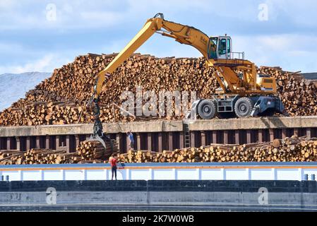 Große Barge „Le Condor“, beladen mit Holz im Flusshafen von Villefranche sur Saone, Umschlag und Verladung von Holzstämmen für eine Papierfabrik in Tarasc Stockfoto