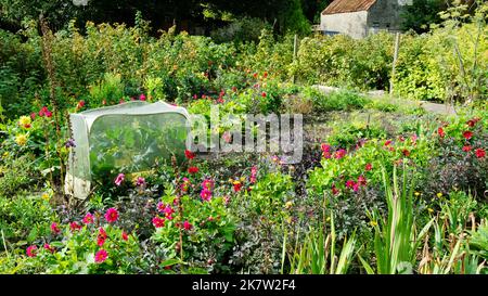 Zuteilungen in Helmsley, Yorkshire, Großbritannien - John Gollop Stockfoto