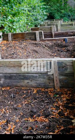 Große Holzkompostbehälter in einem englischen Garten - John Gollop Stockfoto