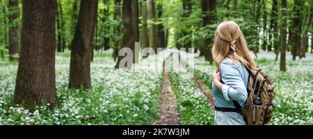 Tourist Frau mit Rucksack Wandern auf Wanderweg im Wald im Frühjahr. Wald mit Blumen von Bärlauch. Abenteuer in der Natur. Panoramablick Stockfoto
