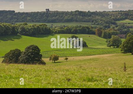 Die Landschaft von South Downs in Findon bei Worthing in West Sussex, England Stockfoto