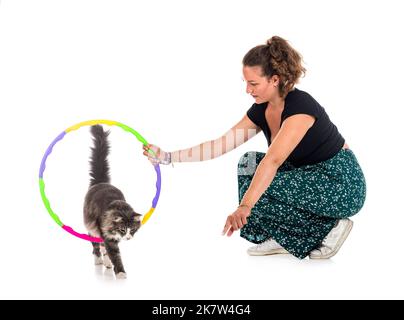 Norwegian Forest Katze und Frau vor weißem Hintergrund Stockfoto