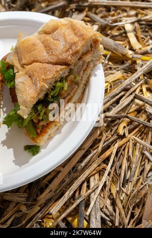 Koreanisches Steak auf Brot bei einem Food Festival in Estoril, Portugal Stockfoto