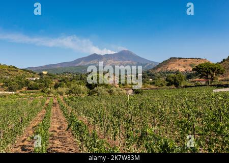 Ein Blick auf den Ätna, Sizilien, über einen Weinberg gesehen. Sizilianische Weine aus dieser Region erfreuen sich zunehmender Beliebtheit Stockfoto