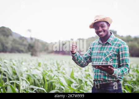African Farmer mit Hut mit Tablette in der Bio-Mais Plantage Feld.Landwirtschaft oder Anbaukonzept Stockfoto