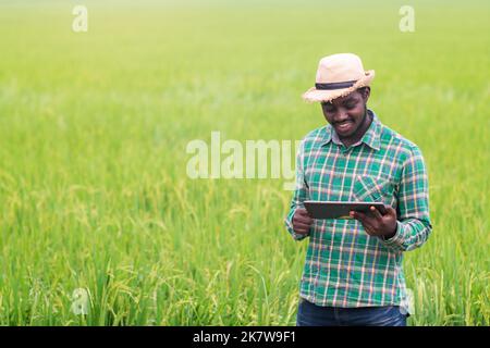 Afrikanischer Bauer steht lächelnd auf die Produkte seiner Reisfarm und mit Tablette für die Forschung Blätter von Reis in Bio-Farm Feld.Landwirtschaft Stockfoto