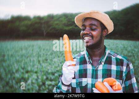 Porträt eines lächelnden afrikanischen Bauern, der Karotten auf einem Bio-Bauernhof erntet.Landwirtschaft oder Anbaukonzept Stockfoto