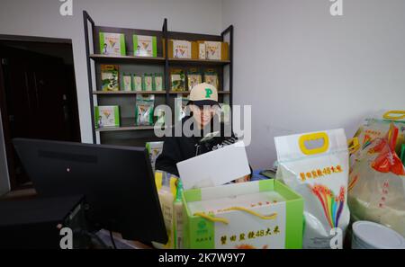 Shenyang, Chinas Provinz Liaoning. 18. Oktober 2022. Ein Arbeiter verkauft Reis online in Shenyang, nordöstlich der Provinz Liaoning, 18. Oktober 2022. Quelle: Yang Qing/Xinhua/Alamy Live News Stockfoto