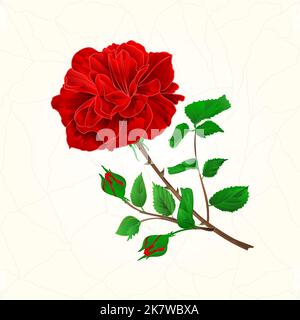 Lila Rose Risse in der Porzellan nahtlose Textur vintage Vektor Illustration Stock Vektor