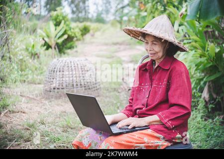 Eine ältere asiatische Frau, die in einem Ackerland mit einem Lächeln und Glück einen Laptop lernt und benutzt Stockfoto